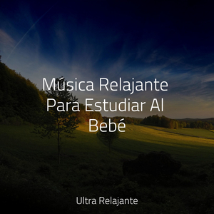 Siéntate y Relájate