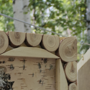 吃饭了吗 没吃的话吃我两拳