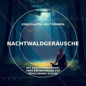 Mondlicht & Nachtwald: Naturgeräusche für entspannte Nächte