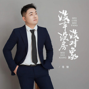 没车没房没对象