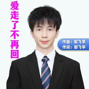 爱走了不再回