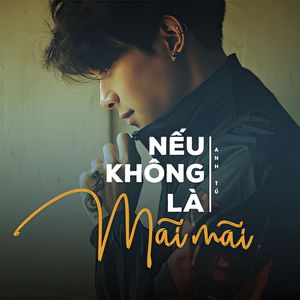 Nếu Không Là Mãi Mãi