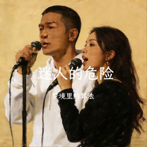 迷人的危险（抖音热歌版）