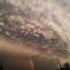 Sakura-WeChat（好多鱼 remix）