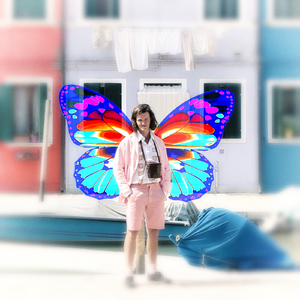 Piccola farfalla nostalgia