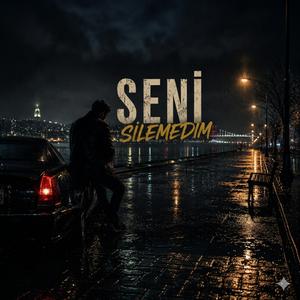 Seni Silemedim