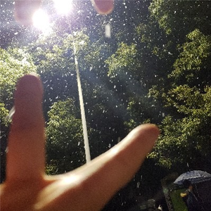 在北方春末柳絮纷飞日子里的