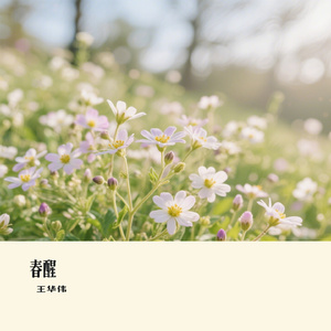 春醒