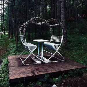 DTL(prod.海森堡Heisenberg)