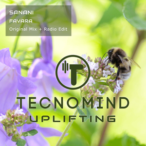 Favara (Original Mix)