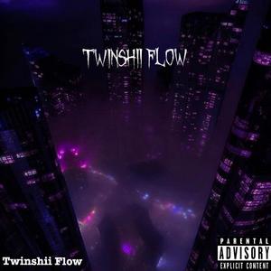 Twinshii Flow