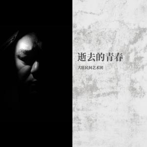 逝去的青春-大壮民间艺术团