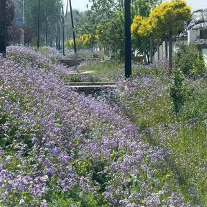 眠溺「Sink into watery sleep」