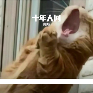 十年人间cover李常超 (Lao乾妈)