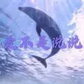 半壶纱 (DJ版)