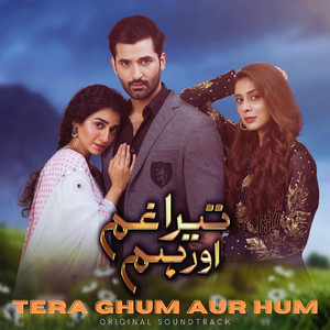 Tera Ghum Aur Hum (From "Tera Ghum Aur Hum")