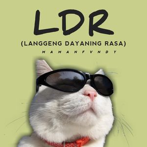 Langgeng Dayaning Rasa "LDR"