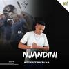 Njandini - Mkhwekazi (feat. Inkosi Yamagcokama)