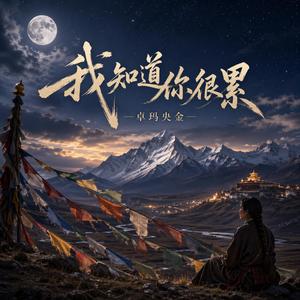 我知道你很累