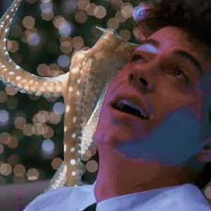 A New Home in the Sun