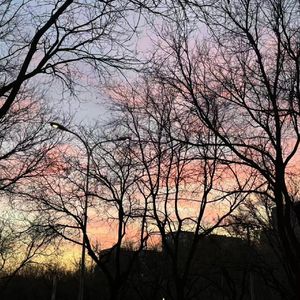 《纸兰燕》原声带