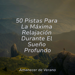 Melodías fugaces en la niebla