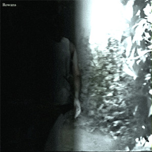 Rowans