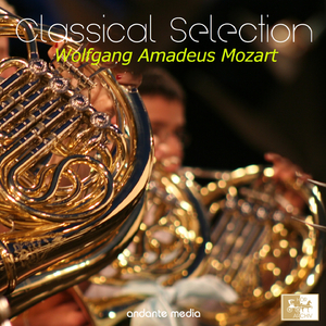 Horn Concerto No. 1 in D Major, K. 412: II. Rondo. Allegro (K.514)