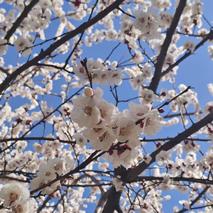 你的眼泪弥足珍贵