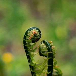 Выше к солнцу