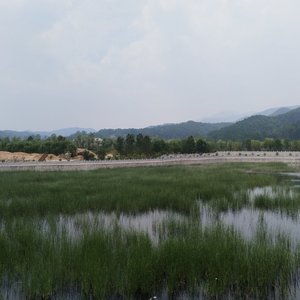 人生不过几回首_117247947153377792_1774365403054.wav