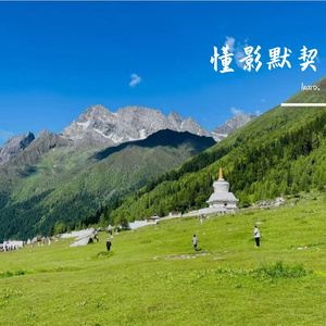 懂影默契