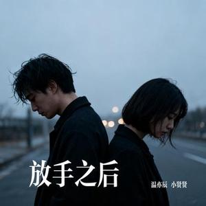 放手之后