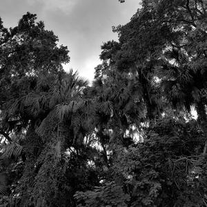 Reflejo (feat. J Ven)