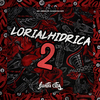 DJ DAVI DA DZ7 - Lorialhidrica 2