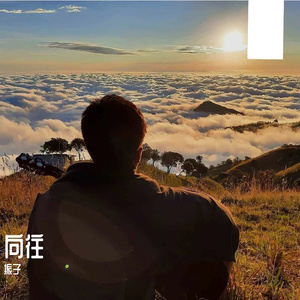 我爱你不问归期