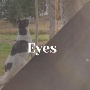 Eyes