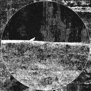 Stoned Frequencies Pounding System