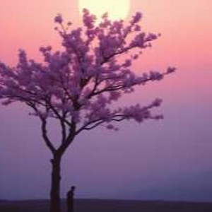 叶わない切ない恋愛