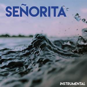 Señorita (Instrumental)