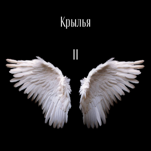 Безумная ночь