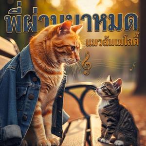 พี่ผ่านมาหมด (Live concert version )