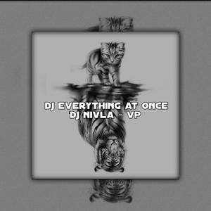 Dj Everything At Once