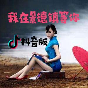 我在景德镇等你（思思抖音版）