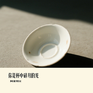 你是杯中碎月的光