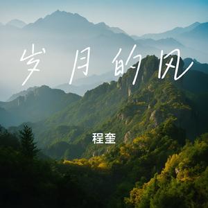 岁月的风