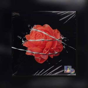 [Free] "Spring snow"