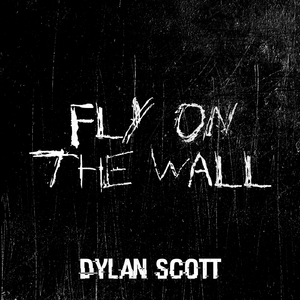 Fly on the Wall