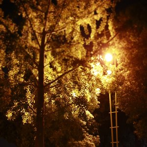 戒骄戒燥（Prod By 9Zi）