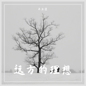 远方的理想